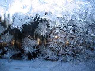 frozen winter window