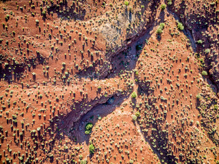 desert aerial view at sunrise