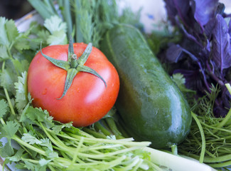 Tomato and cucumber