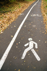 Part of the pedestrian and cycle track with painted symbols and pedestrian rights autumn.