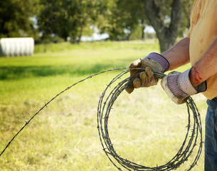 Fencing and safety: Man's hand working on barbed wire farm fence with blood cut.