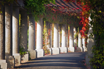 Fototapety  Zielona brama w parku jesienią