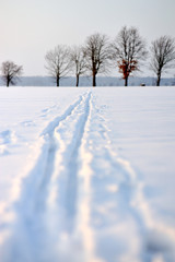 snow trail