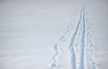 snow trail