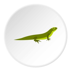 Little lizard icon. Flat illustration of little lizard vector icon for web