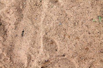 Dry sand texture