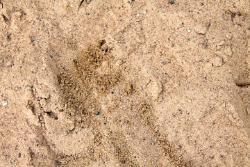 Dry sand texture