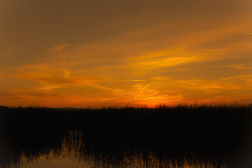 Fototapeta na wymiar Sunset in the reeds on the river.