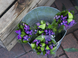 hyacinth plant surrounded by different flowers in flower store.