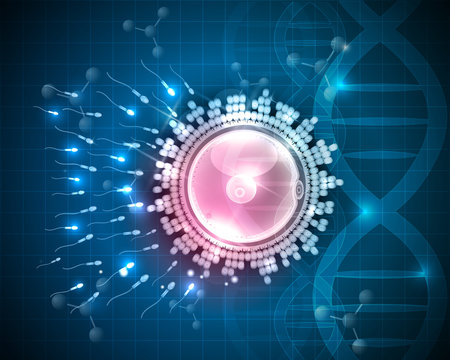 Ovum fertilization drawing, beautiful design on a blue DNA scientific background