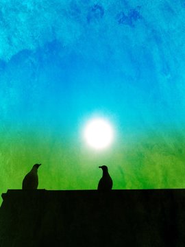 Silhouette of pigeons on a roof