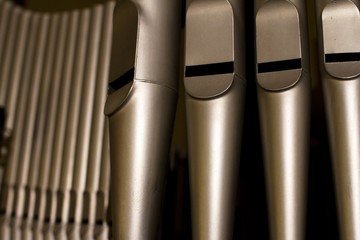 organs from very close 2