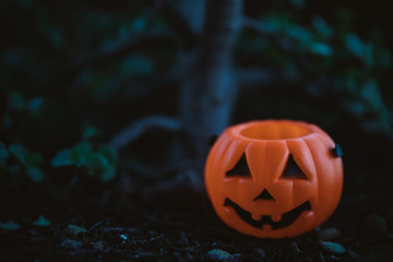 Pumpkin for Halloween