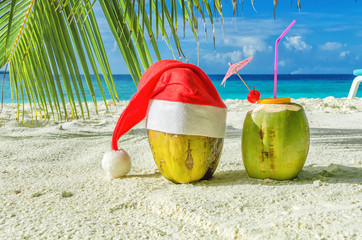 Two coconut Maldives at Christmas
