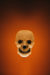 Skull for Halloween