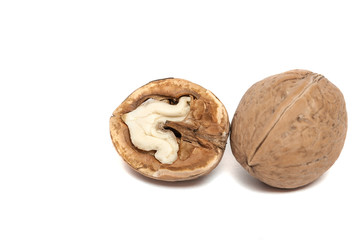 Walnut closeup isolated on white background. Natural health food