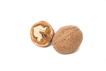 Walnut closeup isolated on white background. Natural health food