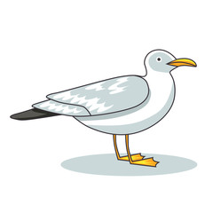 Fototapeta premium Gull flight bird and seabird gull. Сartoon looking gull. Sea gull, isolated on white background. Herring Gull for your journal article or encyclopedia.