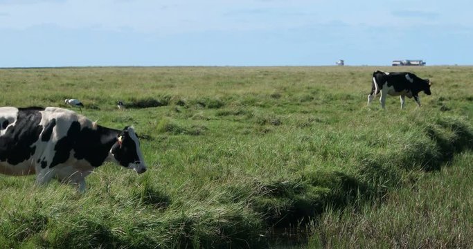 In the thurm cap of St. Peter-Ording in Germany