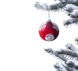 Christmas red ball on the fir branch covered with snow on white
