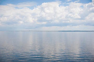 Summer water landscape