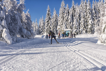 Winter road in mountains. Male skier on groomed ski trails for cross-country. Trees covered with fresh snow in sunny day in Karkonosze, Giant Mountains, Poland. 