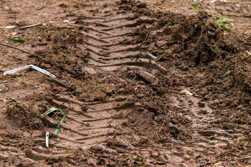 Vehicles Tracks in Mud Background