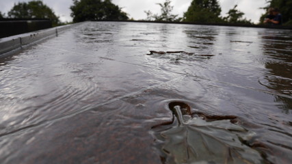 gentle water stream with leaves