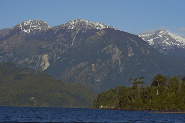 Lago Yelcho in the Aysen Region of southern Chile. Large body of fresh water surrounded by lush forest and snow capped mountains.  