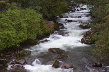 Fast flowing waters of the Rio Ventisquero as it passes through lush forest near the Carretera Austral in the Aysen Region of southern Chile.
