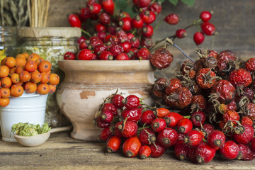Medicinal plants and herbs composition: Dog rose, bunch branch Rosehips, types Rosa canina hips, essential oil. bunch, Tea with rosehip, Tansy, Anise, dried flowers of linden, tansy and chamomile 