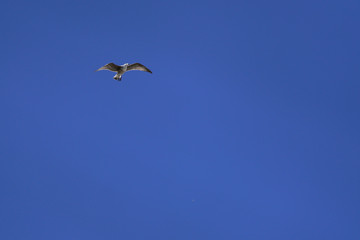 waiting for an inspiration