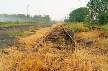 overgrown rusty railroad