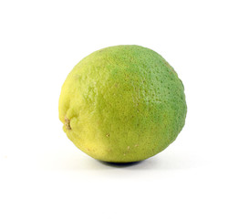 Bright green lime