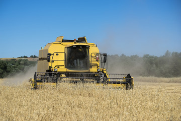 Obraz premium Cosecha de cereal, Madrid, junio de 2016