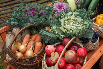 To cart wide selection of vegetables, fruits and berries. Bright photo of autumn     fruits. Autumn fairharvest. Belarusian, European traditions. © pesenka77