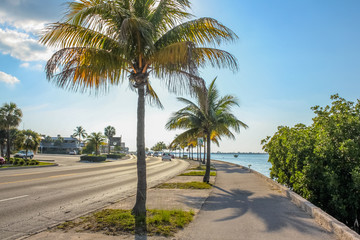 Obraz na płótnie Canvas The Overseas Highway, the highway that connects the islands Keys from Florida, called North Roosevelt Blvd when entering in Key West. The Roosevelt Blvd is a long street with palms along the ocean.