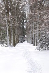 Old Westbury Garden Snow