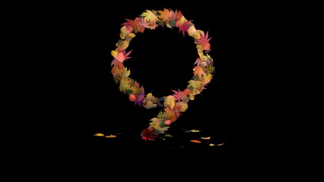 3d rendered animation of the digit 9 made out of autumn leaves. In / idle / out
