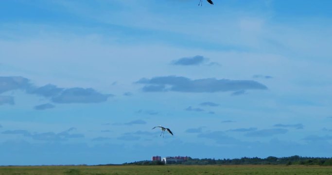 In the thurm cap of St. Peter-Ording in Germany