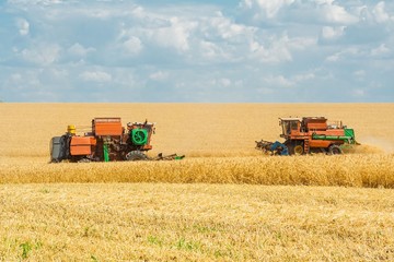 Fototapeta na wymiar Harvesting wheat harvesters on the background field and sky
