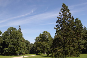 View of Palanga