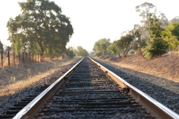 Napa Valley train tracks