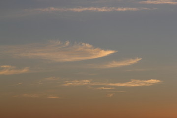 Sky