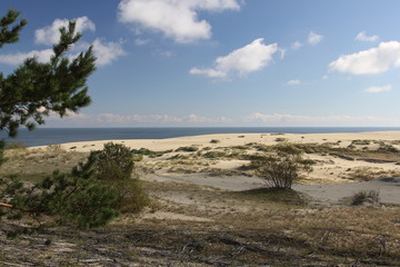 Curonian coast