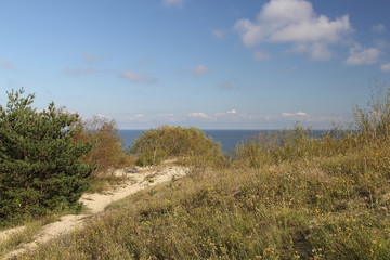 Curonian coast