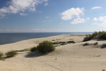 Curonian coast