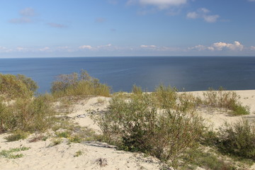 Curonian coast