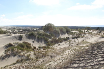 Curonian coast