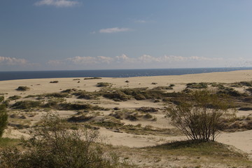 Curonian coast